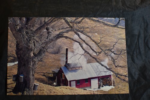 6 *LARGE* Vermont & New Hampshire Postcards - Picture 11 of 12