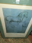 Picture 5 of 9