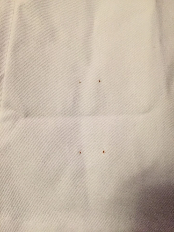 Abrigo de laboratorio Landau uniforme médico botón mezcla de algodón unisex blanco 32 Foto 3 de 4