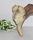 1940's Antique Old Marble Engraved Design Parrot Bird Figure Decor & Collectible