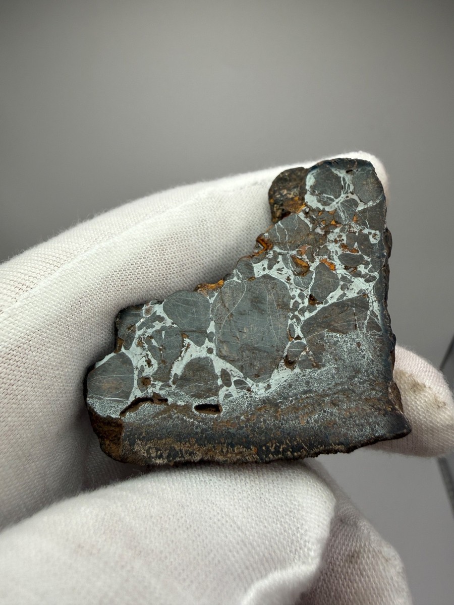 〇様 隕石 サンタクロース NWA 17923 New Pallasite Meteorite 32.1 g polished end cut Olivine