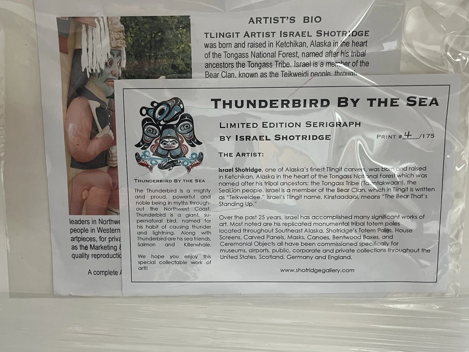 Israel Shotridge (AK) L/E 4/175 Serigrafía “Thunderbird By The Sea” Enmarcada Foto 3 de 4