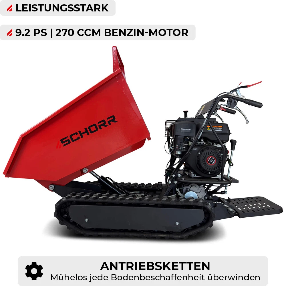 Bild 4 von 12
