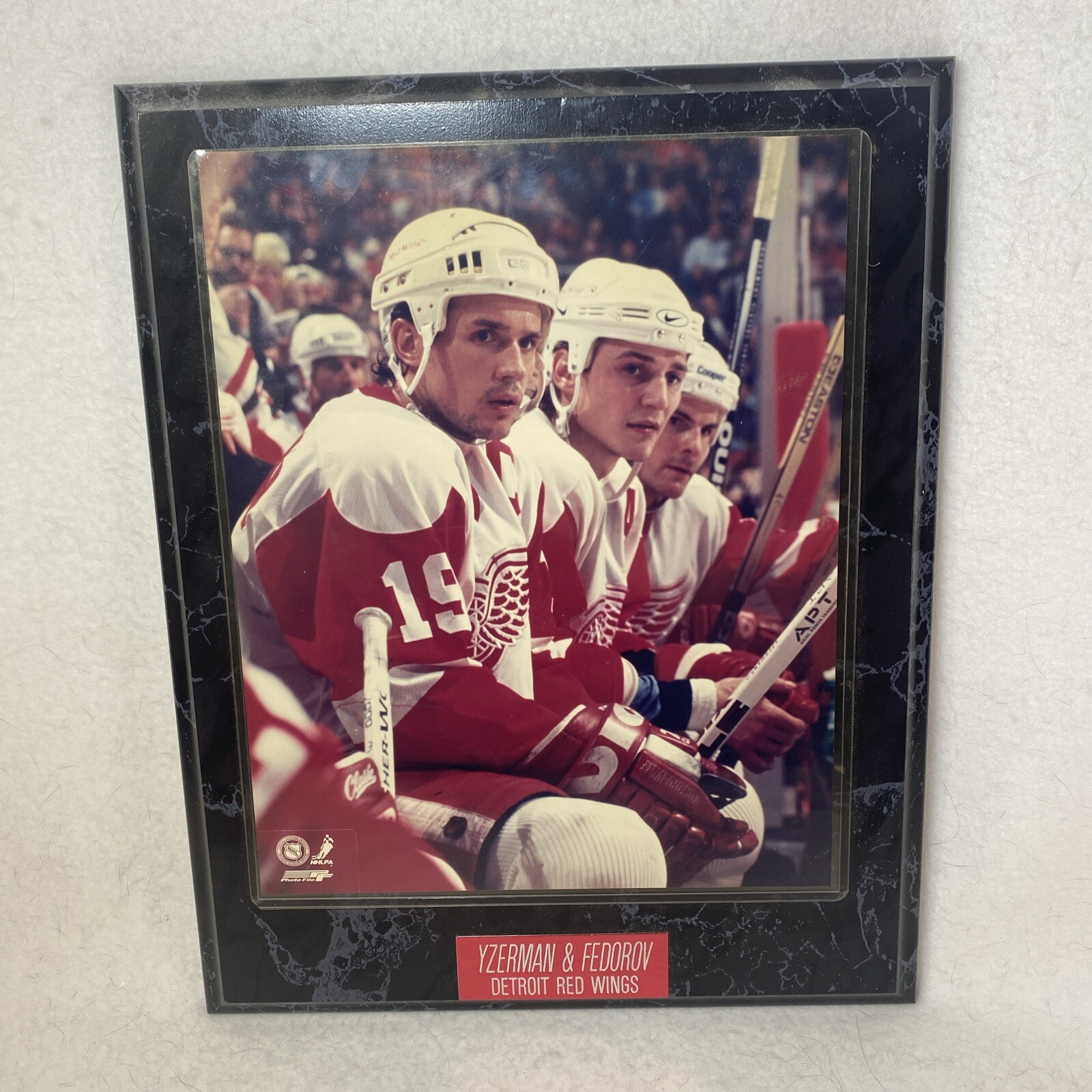 Steve Yzerman Detroit Red Wings Vintage Faux Marble Plaque with Nameplate