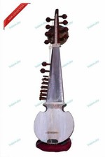 Spezieller Sarod im Ali Akbar Khan Stil mit Tumba - gepolsterter Stoffbeutel