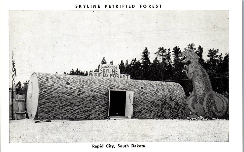 Vintage Postcard Skyline Petrified Forest in Rapid City SD Dinosaur Entrance 