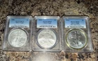 2006 MS70 2010/2016 MS69 Silver American Eagle