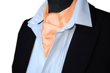 SATIN Neck Tie Cravat Ascot - ALL COLOURS