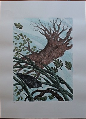 Enzo Bellini Handcolorierte Siebdruck La Canna Und Die Eiche 70x50 Signiert 1987