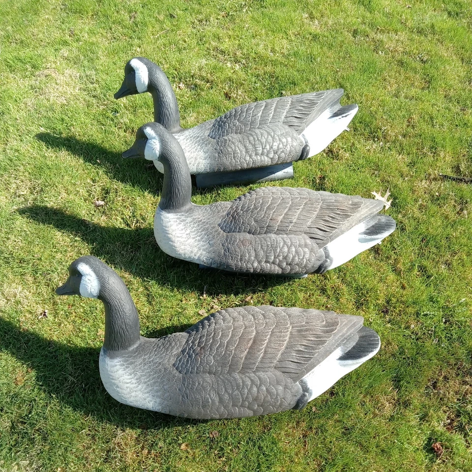 Señuelo de agua flotante Flambeau grande detallado 25" de caza de gansos canadienses   Foto 2 de 4