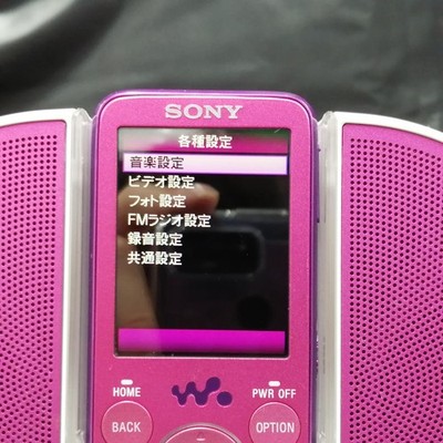 SONY NW-S636F 4GB Walkman MP3 Player – Portable Music DAP – Good