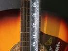 Picture 10 of 23