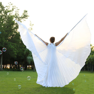 India Egypt Angel Isis Wings Closed Satin Wings Sticks Belly Dance Props Costume