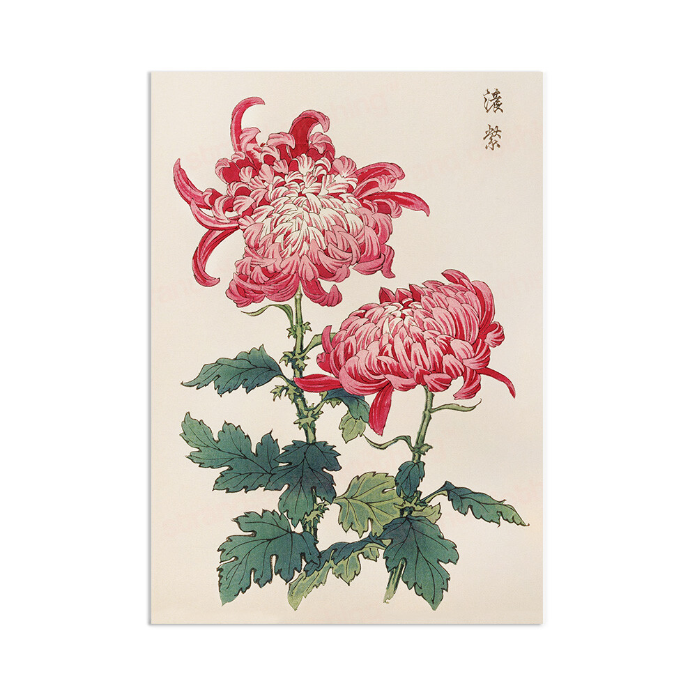 Japanese Ukiyo-e Wall Art Print Poster Woodblock Decor A3 Flowers