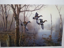 Jim Hansel Backwater Unframed Wood duck Print S/N Size 19 x 29