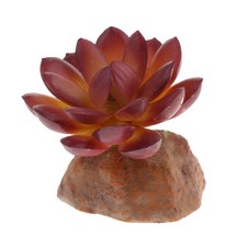 Sukkulente Anlage mit Harzbasis  Terrarium Vivarium Verzierung