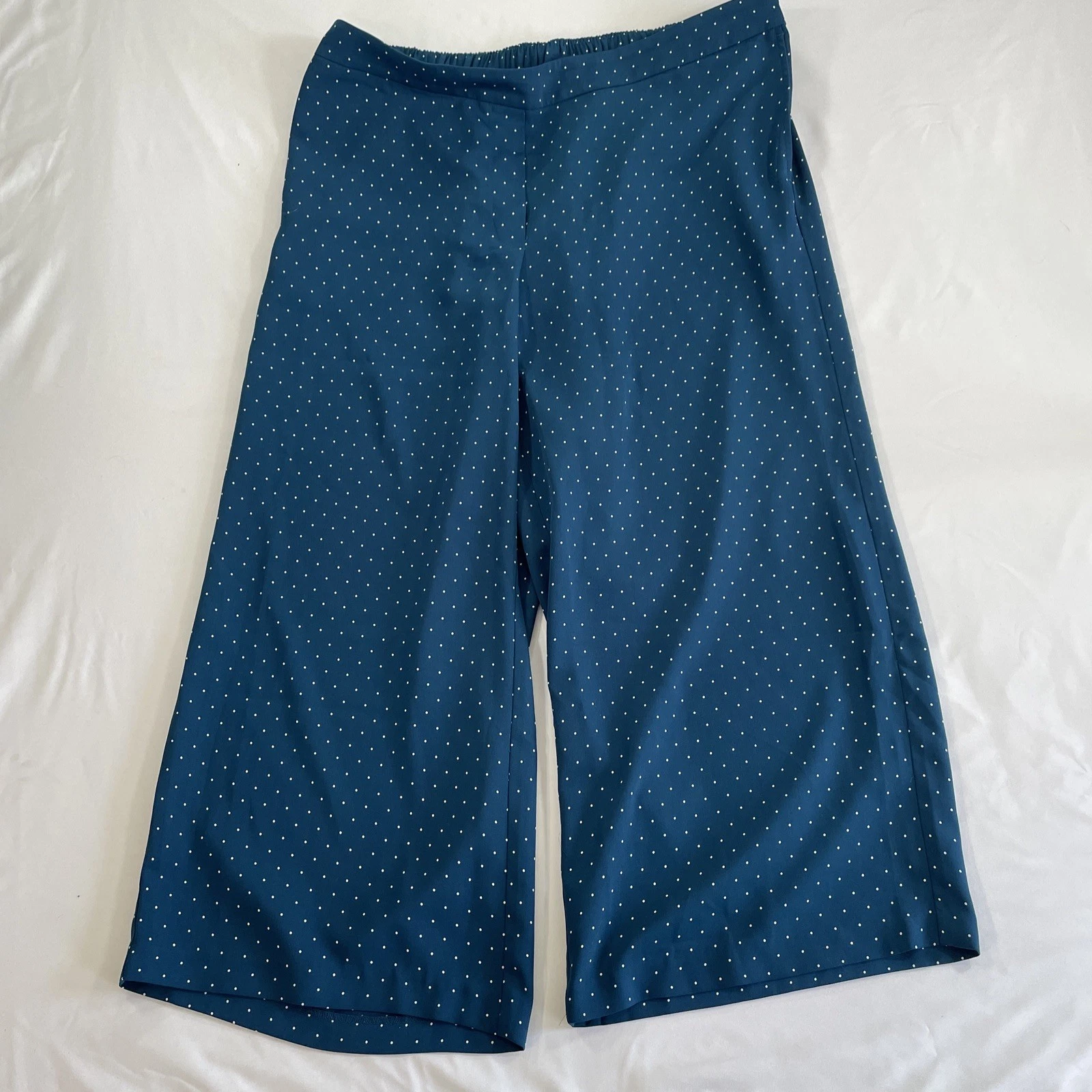 J. Jill Wearever Collection Easy Care Pants Womens XL Blue Polka Dot Cropped