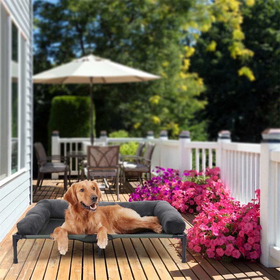 Cama elevada XXL extra grande de refrigeración interior exterior para perros con alfombrilla de felpa para invierno Foto 3 de 4