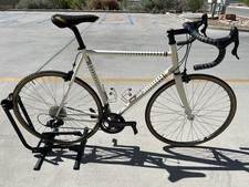 Dario Pegoretti Duende Road Bicycle W/ Campag...