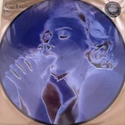 New ListingMadonna - Erotica 12” Vinyl Single Picture  Disc 30th Anniversary New
