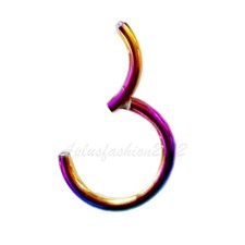 20G, 18G,16G,14G Hinged Septum Clicker Segment Nose Ring Lip Ear Cartilage Daith