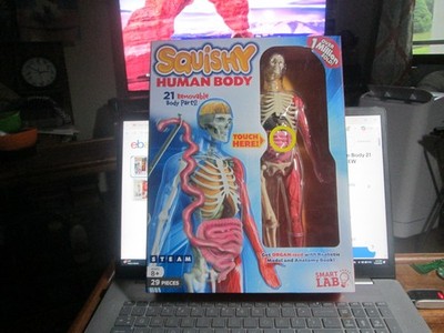 Smart Lab Squishy Human Body  21 Removable Body Parts NEW SEALED