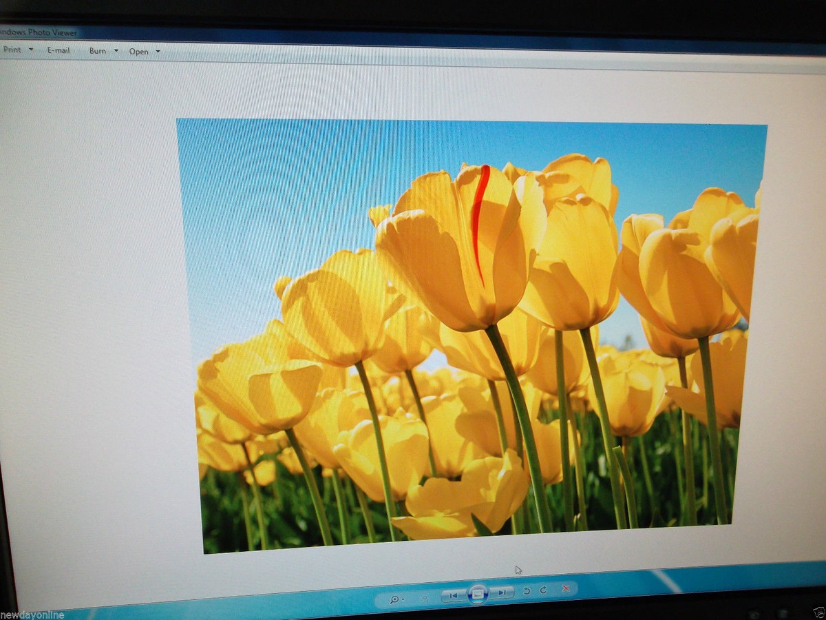 Dell 2009Wt UltraSharp LCD Monitor 20