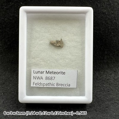 Lunar Meteorite NWA 8687 Genuine Moon Rock Morocco Authentic Specimen with