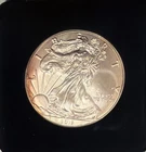 2018 American Eagle Silver Bullion Coin United States Mint Uncirculated Toned