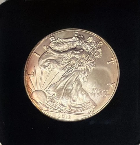 2018 American Eagle Silver Bullion Coin United States Mint Uncirculated Toned