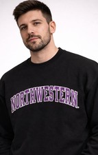 Northwestern Wildcats Arched Logo Black Crew Neck Sweatshirt