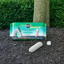 Miracle-Gro Tree & Shrub Spikes 12-Pack fertilizer feeds at roots, spring & fall