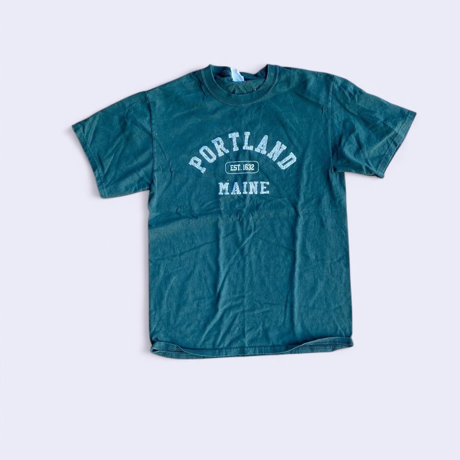 Vintage y2k Portland Maine graphic tee
