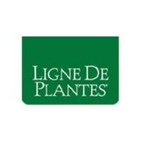 Desmodio Ligne De Plantes 15 Ampolle Da 15Ml