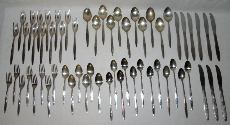 59 piezas Cubiertos vintage Oneida Community plateados (enchantment Gentle Rose) Foto 3 de 4