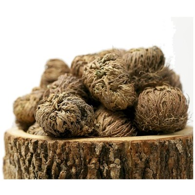 Discover the Mystique of 10 Mini Rose of Jericho Plants - Revive with Water