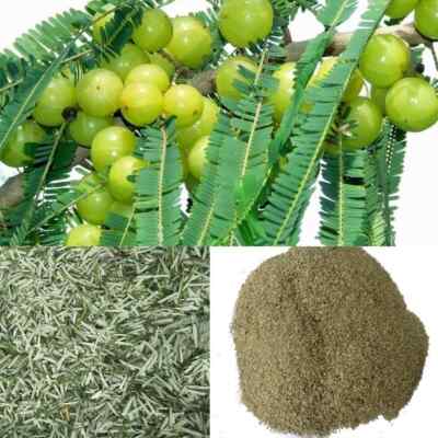 100% Organic Sun Dry Amla Leaves/ Indian Gooseberry Powder Hair Mask New No GMO