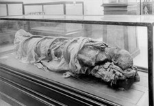 Touiyas Mummy Fatherinlaw Of Amenophis Iii Cairo Egyptian Museum Old Photo