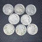 Indian Head Buffalo Nickel lot