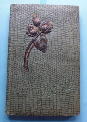 altes Poesie Album - 1900 bis 1915