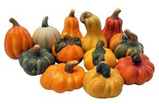 Fall Decoration Ornamental Pumpkin - Decorative Terracotta Pumpkins in a Set