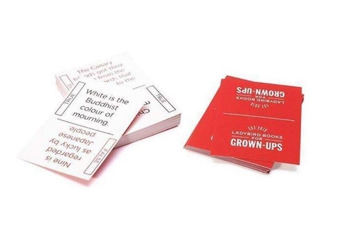 NUOVA SCATOLA Coccinella CRESCIUTA VERA - FALSO GIOCO Collezione Vintage Secret Santa - Foto 2 di 3