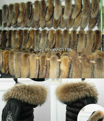Natur Waschbär Kragen Pelzkragen Pelz Fell Echtpelz Raccoon Jacke Mantel 70*12 E