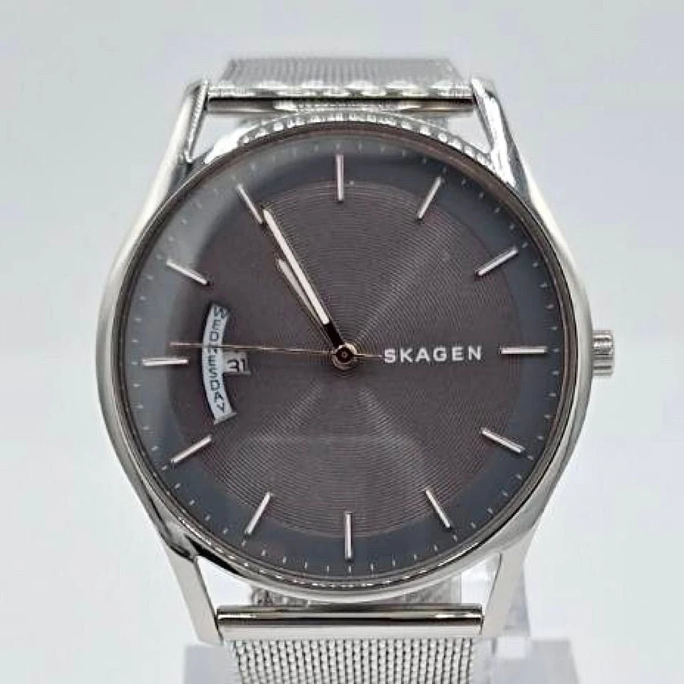 Skagen SKW6396 Holst 灰色表盘不锈钢手表全新电池日本制造 — 第 2/4 张图片