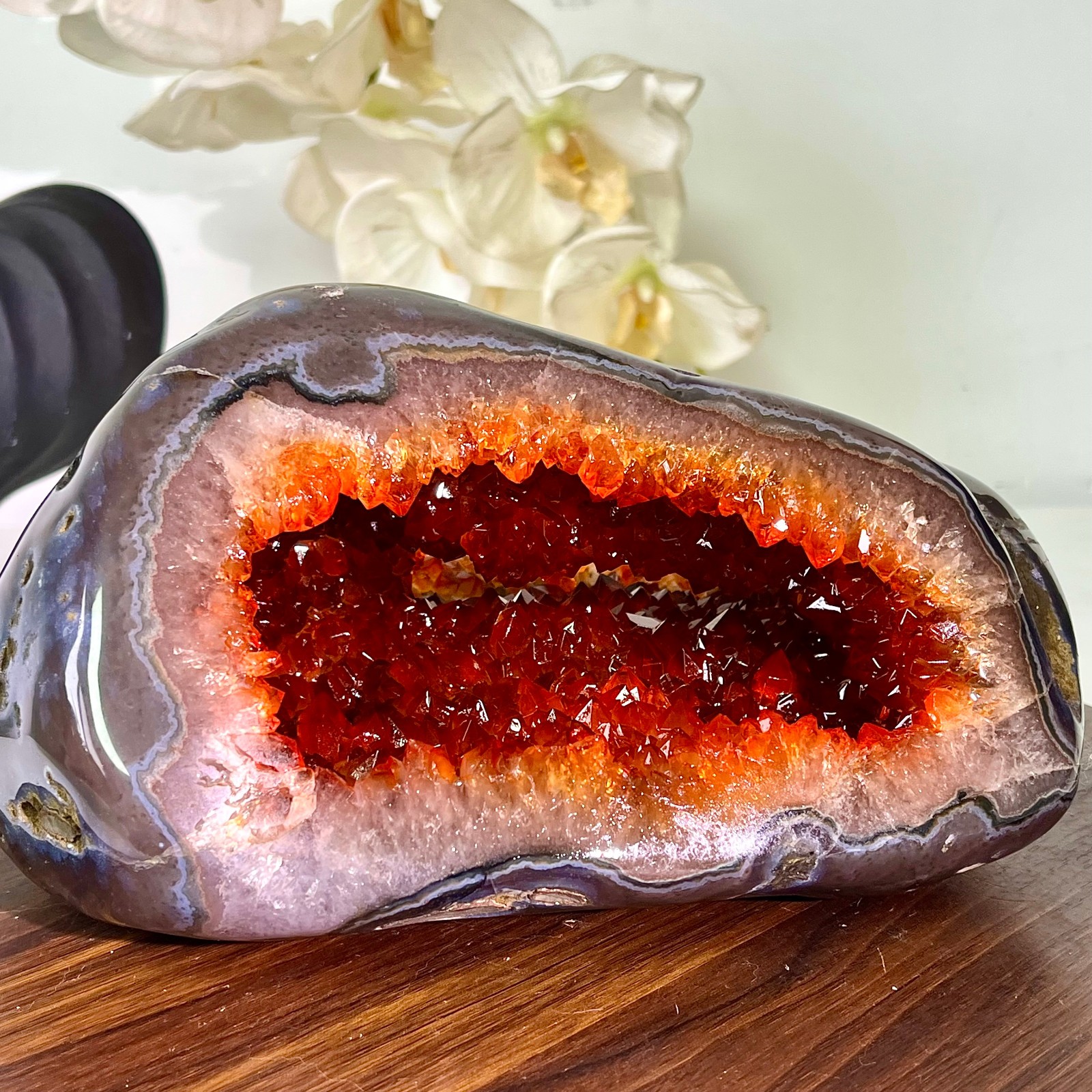 7.61LB Natural citrine money bag, quartz mineral wealth accumulation