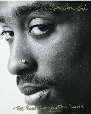 The Rose That Grew From Concrete - Hardcover By Shakur, Tupac - GOOD