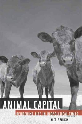 Animal Capital : Rendering Life in Biopolitical Times, Paperback by Shukin, N...