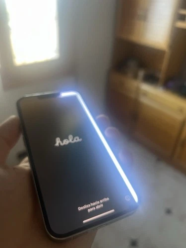 100% iPhone 13 Pro Blanco