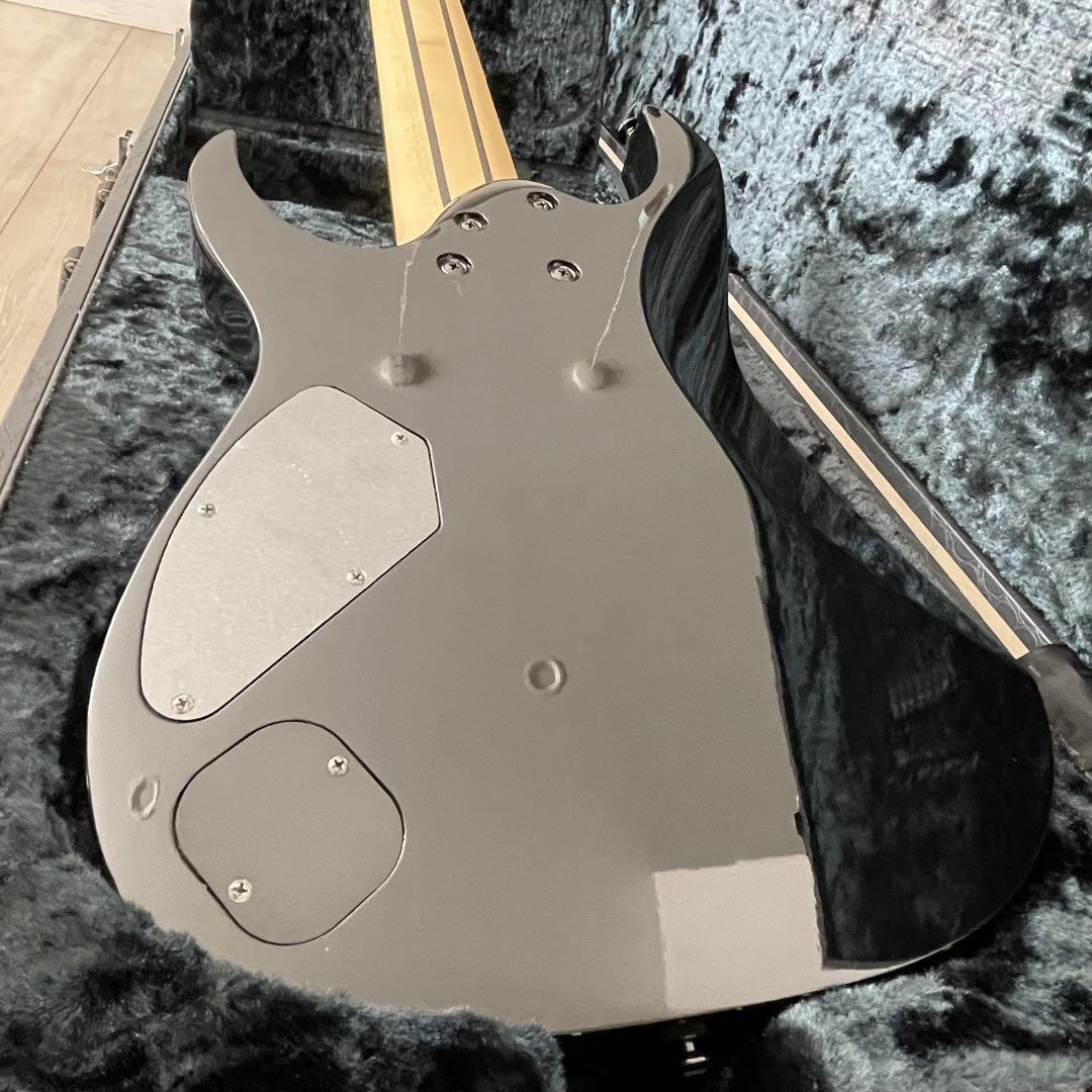 8弦　Ibanez RG Prestige RG2228A RG2228A | Ibanez Wiki | Fandom