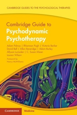 Lauren Wilson Adam Polnay Rhiannon Pugh Vi Cambridge Guide to Psyc (Taschenbuch)